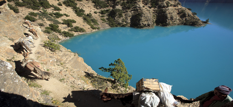 Dho Tarap bas Dolpo Trekking